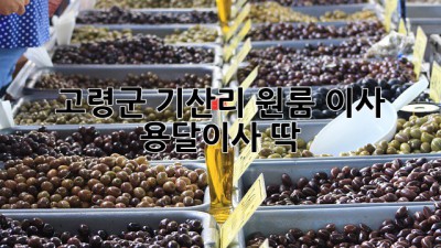 고령군 기산리 원룸 이사, 용달이사 딱!