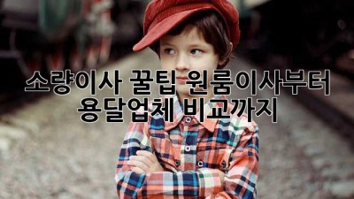 소량이사 꿀팁🍯 원룸이사부터 용달업체 비교까지!